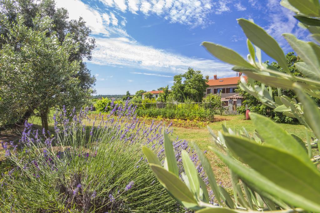 Pula Istria Apartments Dış mekan fotoğraf